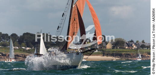 La Semaine du Golfe 2013 - © Philip Plisson / Plisson La Trinité / AA36954 - Nos reportages photos - Morbihan [Golfe du]