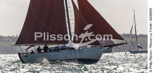 La Semaine du Golfe 2013 - © Philip Plisson / Plisson La Trinité / AA36955 - Nos reportages photos - Morbihan [Golfe du]