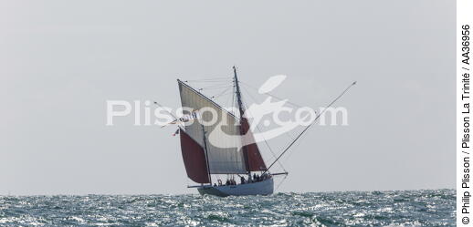 La Semaine du Golfe 2013 - © Philip Plisson / Plisson La Trinité / AA36956 - Photo Galleries - Morbihan [The gulf of the]