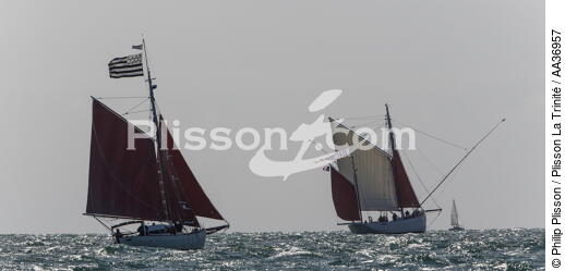 La Semaine du Golfe 2013 - © Philip Plisson / Plisson La Trinité / AA36957 - Photo Galleries - Sailing boat