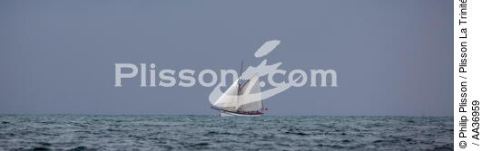La Semaine du Golfe 2013 - © Philip Plisson / Plisson La Trinité / AA36959 - Photo Galleries - Sailing boat