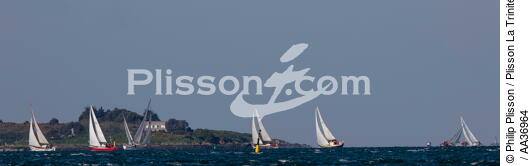 La Semaine du Golfe 2013 - © Philip Plisson / Plisson La Trinité / AA36964 - Photo Galleries - Sailing boat