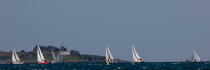 La Semaine du Golfe 2013 © Philip Plisson / Plisson La Trinité / AA36964 - Nos reportages photos - Morbihan [Golfe du]