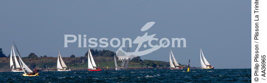 La Semaine du Golfe 2013 - © Philip Plisson / Plisson La Trinité / AA36965 - Photo Galleries - Traditional sailing