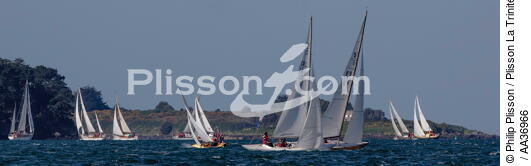 La Semaine du Golfe 2013 - © Philip Plisson / Plisson La Trinité / AA36966 - Photo Galleries - Traditional sailing