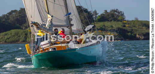 La Semaine du Golfe 2013 - © Philip Plisson / Plisson La Trinité / AA36967 - Photo Galleries - Sailing boat