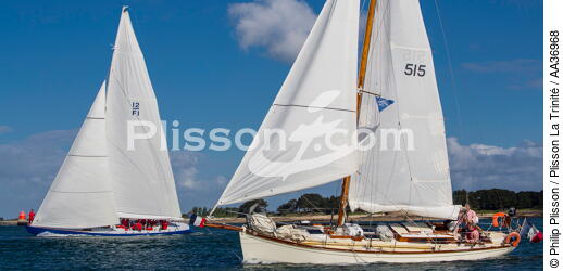 La Semaine du Golfe 2013 - © Philip Plisson / Plisson La Trinité / AA36968 - Photo Galleries - Sailing boat