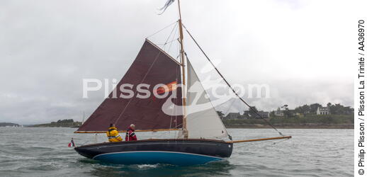La Semaine du Golfe 2013 - © Philip Plisson / Plisson La Trinité / AA36970 - Photo Galleries - Traditional sailing