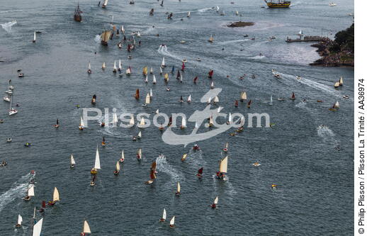 La Semaine du Golfe 2013 - © Philip Plisson / Plisson La Trinité / AA36974 - Nos reportages photos - Monocoque