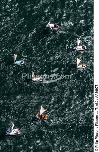 La Semaine du Golfe 2013 - © Philip Plisson / Plisson La Trinité / AA36975 - Photo Galleries - Traditional sailing