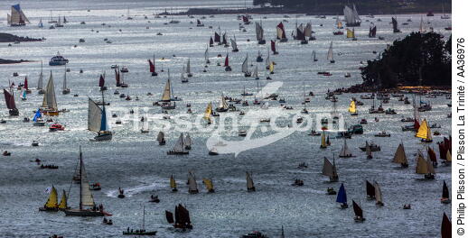 La Semaine du Golfe 2013 - © Philip Plisson / Plisson La Trinité / AA36976 - Nos reportages photos - Voile tradition