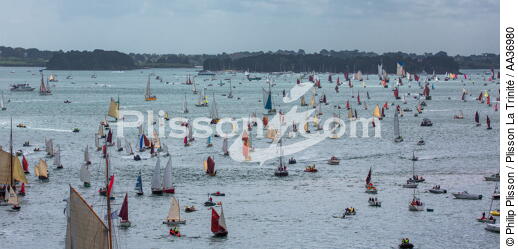 La Semaine du Golfe 2013 - © Philip Plisson / Plisson La Trinité / AA36980 - Nos reportages photos - Morbihan