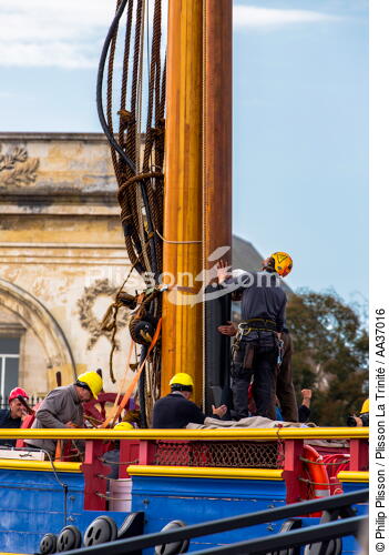 The installation of the masts of the Hermione, Rochefort - © Philip Plisson / Plisson La Trinité / AA37016 - Photo Galleries - Masts