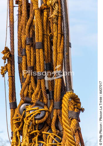 The installation of the masts of the Hermione, Rochefort - © Philip Plisson / Plisson La Trinité / AA37017 - Photo Galleries - Old gaffer