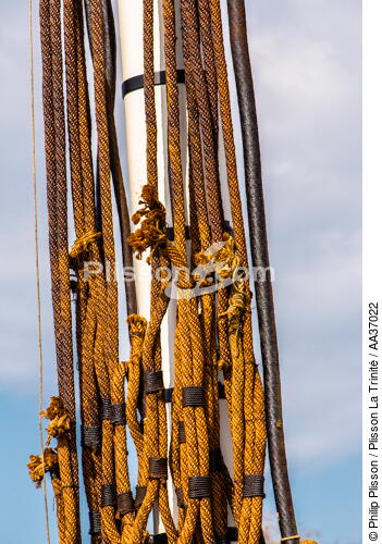 La pose de la mâture de l'Hermione à rochefort - © Philip Plisson / Plisson La Trinité / AA37022 - Nos reportages photos - Voilier