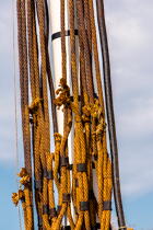 La pose de la mâture de l'Hermione à rochefort © Philip Plisson / Plisson La Trinité / AA37022 - Nos reportages photos - Terme marin