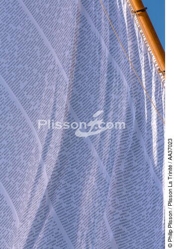 La pose de la mâture de l'Hermione à rochefort - © Philip Plisson / Plisson La Trinité / AA37023 - Nos reportages photos - Voile tradition