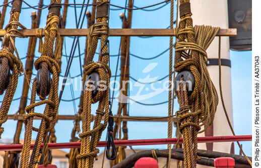 La pose de la mâture de l'Hermione à rochefort - © Philip Plisson / Plisson La Trinité / AA37043 - Nos reportages photos - Mâture