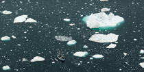 Fin d'été sur la côte ouest du Groenland © Philip Plisson / Plisson La Trinité / AA37070 - Nos reportages photos - Iceberg