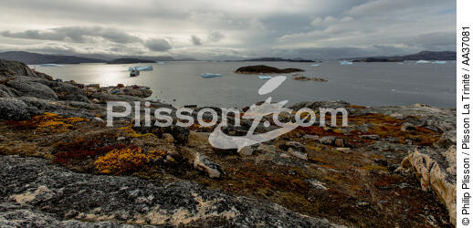 Fin d'été sur la côte ouest du Groenland - © Philip Plisson / Plisson La Trinité / AA37081 - Nos reportages photos - Lumière