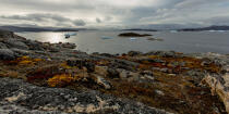 Fin d'été sur la côte ouest du Groenland © Philip Plisson / Plisson La Trinité / AA37081 - Nos reportages photos - Construction