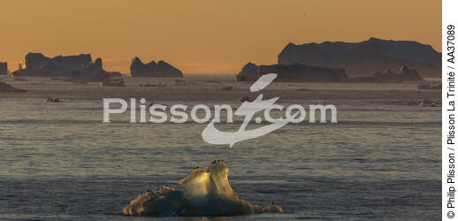 Fin d'été sur la côte ouest du Groenland - © Philip Plisson / Plisson La Trinité / AA37089 - Nos reportages photos - Iceberg