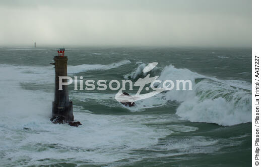 Nividic lighthouse - © Philip Plisson / Plisson La Trinité / AA37227 - Photo Galleries - Rough seas