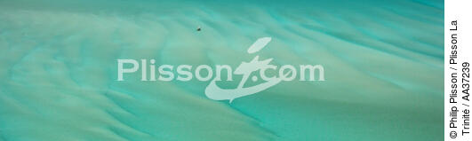 Lagoon north of Salary - © Philip Plisson / Plisson La Trinité / AA37239 - Photo Galleries - Rowing boat