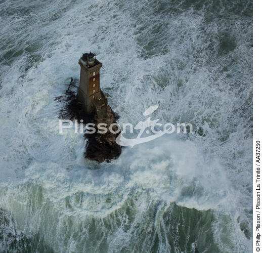 Petra Storm on La Vieille lighthouse - © Philip Plisson / Plisson La Trinité / AA37250 - Photo Galleries - Wave