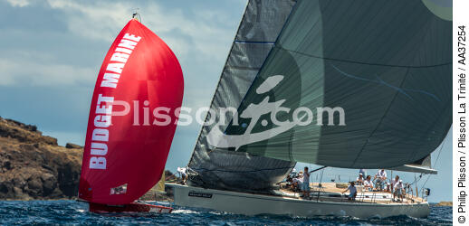  - © Philip Plisson / Plisson La Trinité / AA37254 - Photo Galleries - Sailing boat
