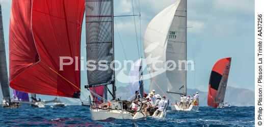  - © Philip Plisson / Plisson La Trinité / AA37256 - Photo Galleries - Sailing boat