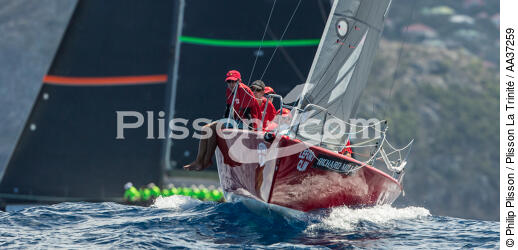  - © Philip Plisson / Plisson La Trinité / AA37259 - Photo Galleries - Sailing boat