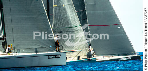  - © Philip Plisson / Plisson La Trinité / AA37267 - Photo Galleries - Sailing boat