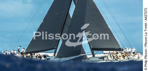  - © Philip Plisson / Plisson La Trinité / AA37272 - Photo Galleries - Sailing boat