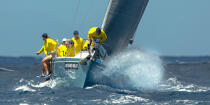 © Philip Plisson / Plisson La Trinité / AA37280 - Photo Galleries - Sailing boat