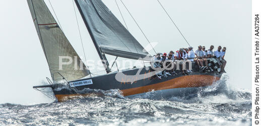  - © Philip Plisson / Plisson La Trinité / AA37284 - Photo Galleries - Sailing boat