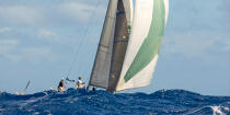 © Philip Plisson / Plisson La Trinité / AA37296 - Photo Galleries - Sailing boat