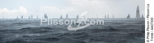  - © Philip Plisson / Plisson La Trinité / AA37330 - Photo Galleries - Sailing boat