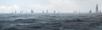 © Philip Plisson / Plisson La Trinité / AA37330 - Photo Galleries - Sailing boat