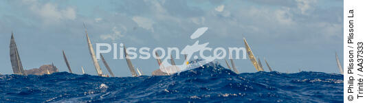  - © Philip Plisson / Plisson La Trinité / AA37333 - Photo Galleries - Nautical terms