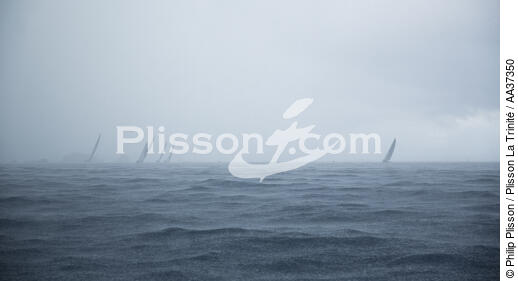 Les Voiles de Saint-Barth 2014 - © Philip Plisson / Plisson La Trinité / AA37350 - Photo Galleries - Sailing boat