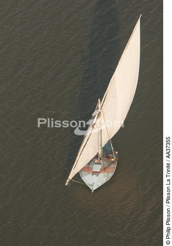 The Nil delta - Egypte - © Philip Plisson / Plisson La Trinité / AA37355 - Photo Galleries - River [Eygpt]