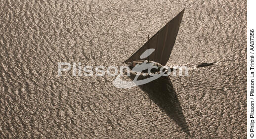 The Nil delta - Egypte - © Philip Plisson / Plisson La Trinité / AA37356 - Photo Galleries - Sailing boat