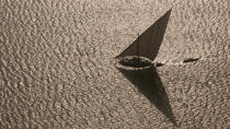 The Nil delta - Egypte © Philip Plisson / Plisson La Trinité / AA37356 - Photo Galleries - Site of interest [Egypt]