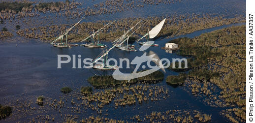 The Nil delta - Egypte - © Philip Plisson / Plisson La Trinité / AA37357 - Photo Galleries - River [Eygpt]