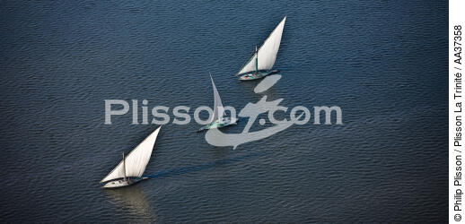 The Nil delta - Egypte - © Philip Plisson / Plisson La Trinité / AA37358 - Photo Galleries - Fishing vessel