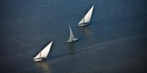 Le Delta du Nil - Egypte © Philip Plisson / Plisson La Trinité / AA37358 - Nos reportages photos - Vue aérienne