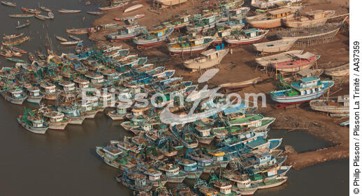 The Nil delta - Egypte - © Philip Plisson / Plisson La Trinité / AA37359 - Photo Galleries - Site of interest [Egypt]