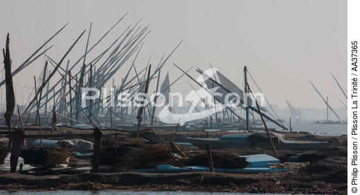 The Nil delta - Egypte - © Philip Plisson / Plisson La Trinité / AA37365 - Photo Galleries - Fishing vessel