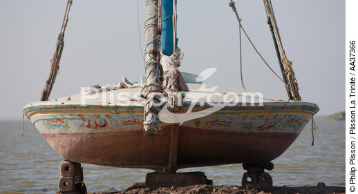 The Nil delta - Egypte - © Philip Plisson / Plisson La Trinité / AA37366 - Photo Galleries - Egypt